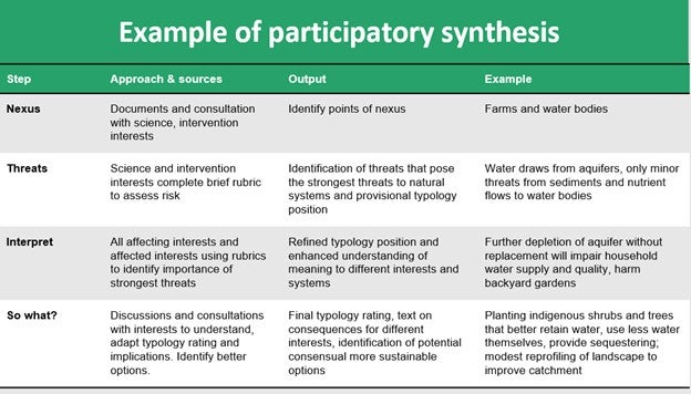 Table showing steps, approach, output and example of participatory synthesis