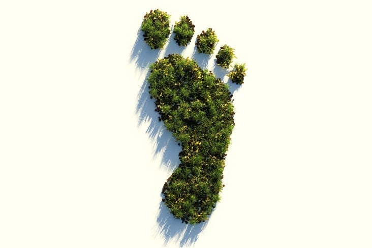 Trees in the shape of a human foot