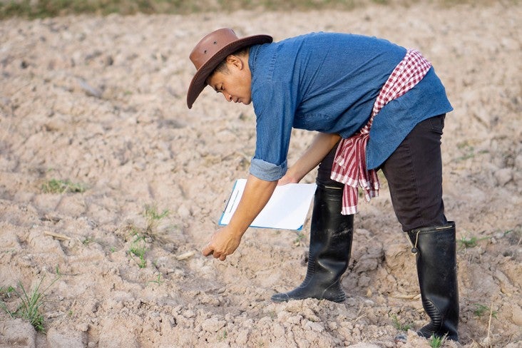 Man in gumboots examines agricultural land