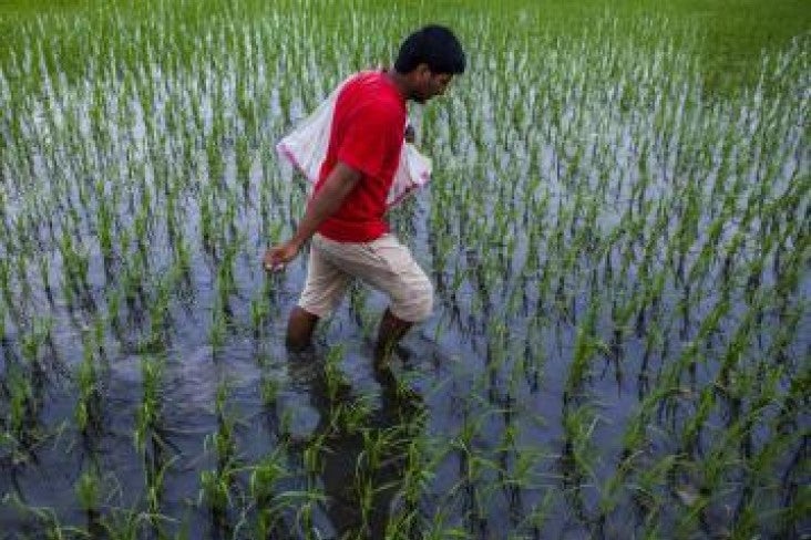 Man walking through a field